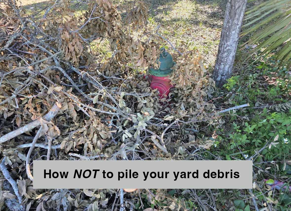 Branches piled around a fire hydrant.